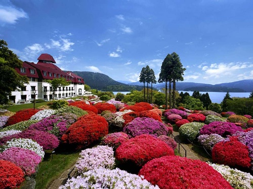 箱根の日帰り温泉ランキング第6位の人気旅館